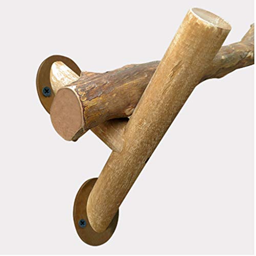 CINTRE MURAL Cintre en bois de chêne avec 19 porte-mante…