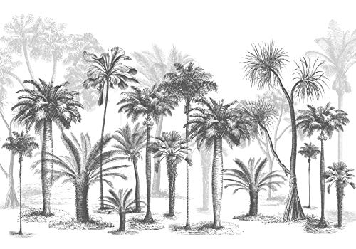 Papier Peint Panoramique Jungle Soie, 355x250 cm, Poster Geant