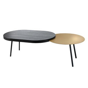 Arti & Mestieri Table Basse de Salon, Noir, Or Laqué, Finition Wengé, 120 x 50 x 35 cm