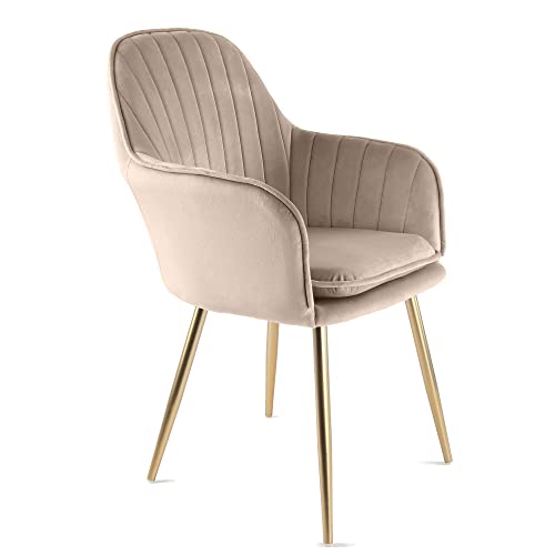 Genesis Muse Fauteuil, Tissu, Taupe, Taille Unique Genesis Muse Fauteuil, Tissu, Taupe, Taille Unique