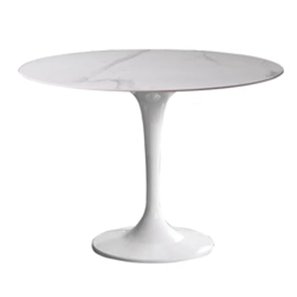 KUviez Table De Bistrot Table À Manger Ronde Table Tulipe du Milieu du Siècle Dessus De Table en Marbre Imprimé pour 4-6 Personnes Table D'appoint Pré-assemblée Table Basse De Loisirs(Size:100CM,Co