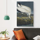 REDCHAMBER Poster d'oiseau américain John James Audubon Cigogne Décoration d'intérieur Poster Art mural à suspendre Peinture décorative Affiches 60 x 90 cm