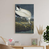 REDCHAMBER Poster d'oiseau américain John James Audubon Cigogne Décoration d'intérieur Poster Art mural à suspendre Peinture décorative Affiches 60 x 90 cm