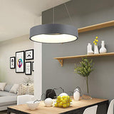 IXWQ Traditionnel Fer Art LED 55W Moderne Suspension Luminaire Île Plafond Éclairage Anneau Décoratif Design Lampe Table À Manger Lustre Métal Acrylique Luminaire Suspendu for Salon Trois Couleurs Gra