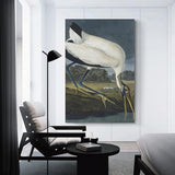 REDCHAMBER Poster d'oiseau américain John James Audubon Cigogne Décoration d'intérieur Poster Art mural à suspendre Peinture décorative Affiches 60 x 90 cm