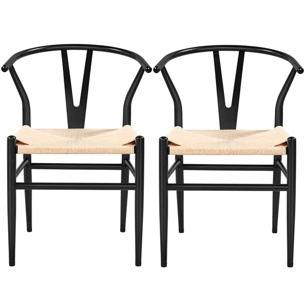 Abician Lot de 2 Chaises de Salle à Manger Corde de Papier Cadre en Métal Ensemble de Chaises en Corde Intérieur Dossier Demi-Circulaire Cuisine Salon 54,5 × 57 × 73,5 cm Noir