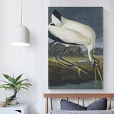 REDCHAMBER Poster d'oiseau américain John James Audubon Cigogne Décoration d'intérieur Poster Art mural à suspendre Peinture décorative Affiches 60 x 90 cm