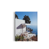 The modernist : Mid-century houses and interiors