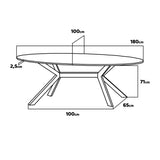 FRANKYSTAR Marui - Table à manger ovale en bois et métal avec pied central Ashi 180x100 cm - noir mat