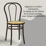 Tomaino - Chaise de cuisine en fer avec assise en paille - Ensemble de chaises de salle à manger Vienne (4, noir)