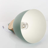 Chrasy E27 Moderne Metal Suspensions Luminaire Sphérique Plafonnier Lustre Industriel en Métal Plafonnier Lustre Plafonnier Lampe LED (Vert)