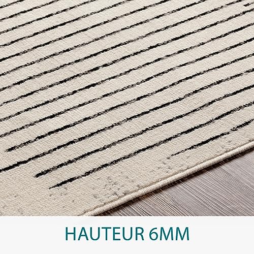 Livabliss Demre Tapis Exterieur Terrasse Balcon, Véranda, Patio - Géométrique Scandinave, Boheme Chic et Oriental - Tapis Jardin Extérieur et Intérieur Moderne Grande Taille 120x170 cm - Gris, Ivoire