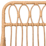 vidaXL Chaises de Jardin 2 pcs et accoudoir 56x64x80 cm Résine tressée, Chaise à dîner, siège de Salle à Manger, Chaise de Patio