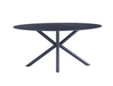 Casa Vital Melisana Table de salle à manger ovale en pierre frittée avec pieds en métal Noir mat 160 x 90 x 76 cm Charge maximale 50 kg