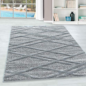 Tapis à Poils Longs pour Salon avec Effet 3D Style Boho, Design Boho, Facile d'entretien, avec Une Hauteur de Poil de 20 mm. Taille: 160 x 230 cm, Couleur: Gris-5