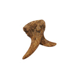 Gorgivous Lustre rustique en bois de cerf à 6 têtes, éclairage de lustre en corne de cerf de Style country rétro pour salon Bar cuisine salle à manger