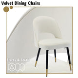 chairus Chaises de Salle à Manger sans Accoudoirs Lot de 2 Chaise de Bureau en Velours Moderne Chaise Rembourrée pour Cuisine Salon (Beige-2)