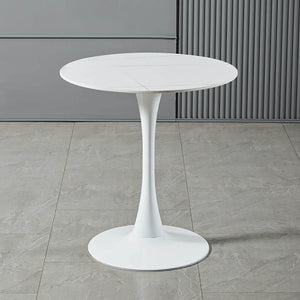 YSYJ Table Basse Moderne Panneau à Base de Bois Rond Table d'appoint Loisirs Table à Manger Style Tulipe pour Cuisine Chambre salon(60x60x73cm, WhiteC)