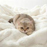 Topfinel Couverture Polaire Lit 1 Personne,Tissu à Bulles Doux, Couverture Cocooning et Chaude, Idéale pour l’Automne,Blanc,Oeko-TEX,1-130x150,Idéal pour Le Canape, La Voiture et Les Voyages