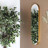 AltoBuy Miroir Doré Ovale 30x100 cm