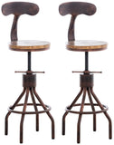 CLP Lot de 2 tabourets de Bar Hanam au Design Industriel I Chaise de Bar métallique réglable en Hauteur avec Assise et Dossier en Bois, Couleur:Bronze