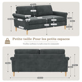 Vesgantti Canapé 2 Places en Tissu Velours Gris, 165cm Style Moderne Scandinave pour Salon, Appartement, Petit Espace, Pieds Bois Massif, 168x88x75