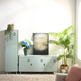 MEUBLE COSY Armoire Meuble de Rangement avec Portes et Étagères Caisson de Bureau en Métal pour Salon Chambre Entrée, Industriel, Vert Clair, 40x40x137cm