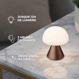 LEXON MINA Mini Lampe Champignon sans fil rechargeable, lampe LED à poser ou de chevet, à variateur d'intensité, jusqu'à 12h d'autonomie - Vert Sombre