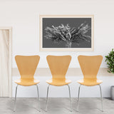 CLP Chaise Empilable Calisto en Bois - Assise Ergonomique - Chaise de Salle d'Attente en Bois Chaise, Hauteur Assise 45 cm -Couleurs au Choix:, Couleur:Nature