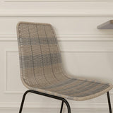 HOMCOM Lot de 2 chaises de Salle à Manger élégantes Chaise de Cuisine Chaise rotin piètement Acier, pour Salle à Manger, Salon, Cuisine