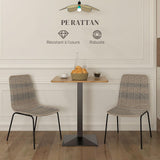 HOMCOM Lot de 2 chaises de Salle à Manger élégantes Chaise de Cuisine Chaise rotin piètement Acier, pour Salle à Manger, Salon, Cuisine