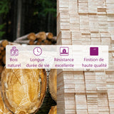 vidaXL Table Basse Table d'Appoint Bout de Canapé Table de Salon Meuble de Salon Salle de Séjour Intérieur Noir 55x55x30 cm Bois Massif de Pin