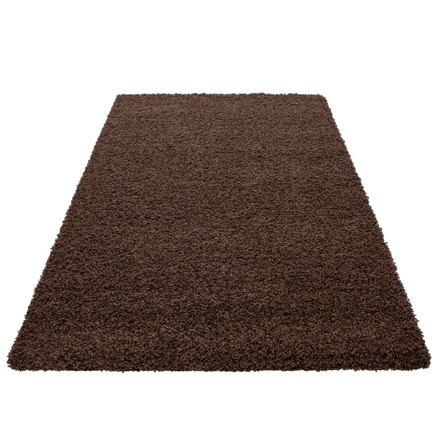HomebyHome Tapis Salon 200x300 Moderne Tapis Chambre Adulte Tapis Marron 200x290 cm - Tapis Shaggy Salle de Séjour Tapis Poil Long Concevoir Unicolore Tapis Doux Moelleux Tapis Cuisine Moquette Salon