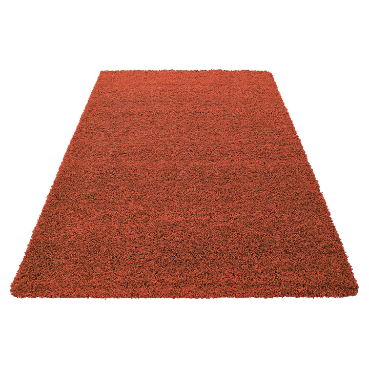 Home by Home Tapis doux et épais style shaggy moderne Uni Plusieurs formes et tailles disponibles, 100 % polypropylène, Terre, 240x340 cm
