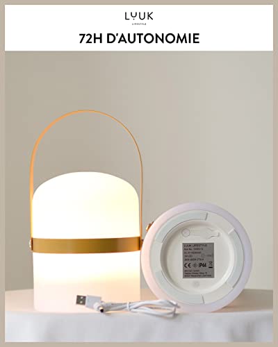 Accessoire En Silicone Polyvalent - ARLAESUK - Léger, Portable, Imperméable Et Facile à Nettoyer