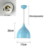 E27 Suspension Metal industrielle Lampe éclairage lustre Suspension réglable en hauteur pour salon Restaurants Cave Bars antichambres Chambre Abat-jour D17*H20cm (Bleu)