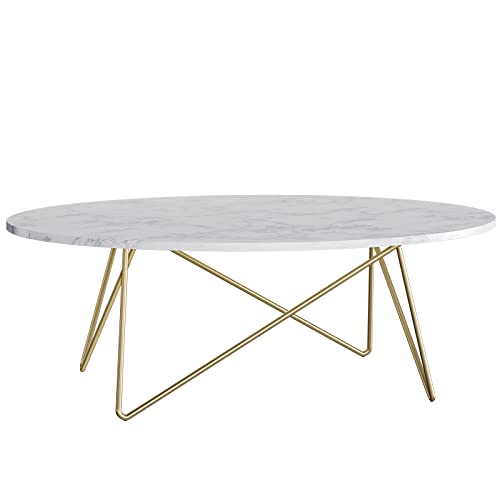 FirFurd Table Basse de Salon Effet Marbré Ovale Table de Canapé Table a Café Bas en Bois et Métal Piédestal Table d FirFurd Table Basse de Salon Effet Marbré Ovale Table de Canapé Table a Café Bas en Bois et Métal Piédestal Table d'Appoint Nordique Scandinave 120x60x41cm