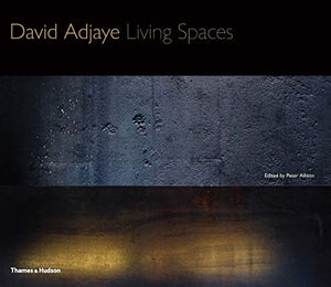 David Adjaye living spaces