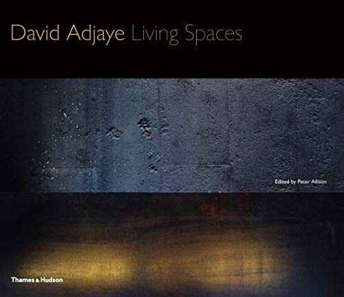 David Adjaye living spaces