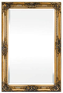 Rococo by Casa Chic - Grand Miroir Rectangulaire - Style Baroque Shabby Chic - 90x60 cm - Or