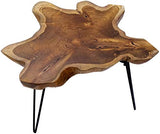 Table basse design Brillibrum en teck massif Table pliante sur un châssis en métal Table de salon en bois de teck unique
