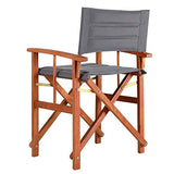 CASARIA 2X Chaises de régie - Chaise de metteur en scène - Chaise Pliante en Bois Eucalyptus FSC® Anthracite Jardin Maison