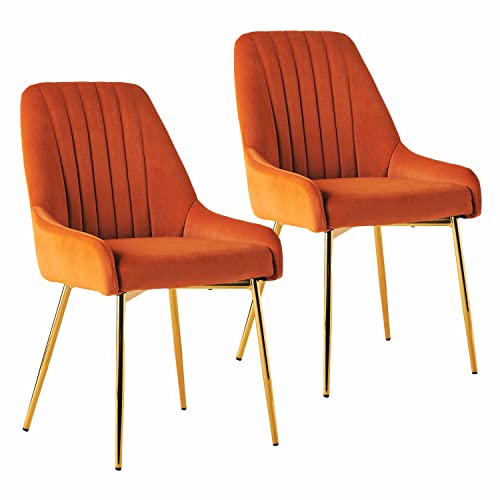 SEPNINE Salle à Manger 2 Pack, Chaises De Salon en Velours Moderne, Chaise De Salle à Manger RembourréE, Chaise RembourréE sans Bras, pour La Vanité De La Chambre De Cuisine
