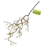 artplants.de Branche de noisetier Artificielle avec 20 Chatons, 65cm - Branche décorative
