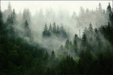 Muralo Papier Peint Forêt dans Le Brouillard 240 x 360 Vinyle Scène Brume Nature - 167720496