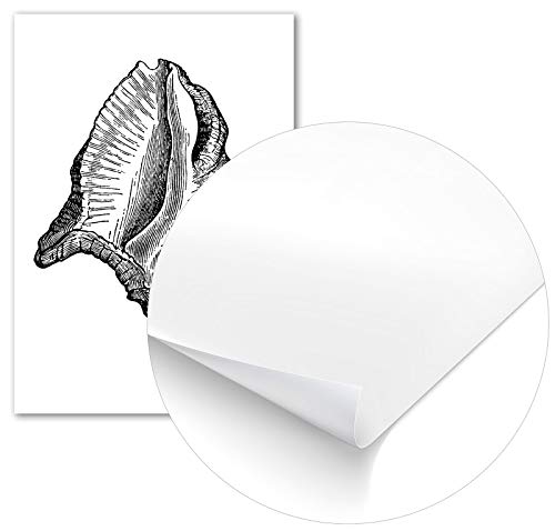 Poster Cheval Avec Passepartout – 21x30 Cm – Impression Qualité 250 G/m² – Prêt à Accrocher – Animaux Déco