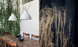A New Leaf: Curated Homes Where Houseplants Meet Design