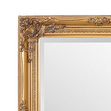 Select Mirrors Certains miroirs Rhône Miroir Mural - French Vintage, Style Baroque Rococo - Doré - 60 cm x 90 cm - Style Shabby Chic Home Decor