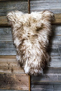 ESTRO | Authentique Tapis en Peau ou en Fourrure de Mouton ISLANDAIS | Brillant et Luxueux | Variété de Couleur ESI (Wolf Tip, 100 cm)