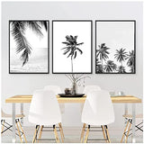 QIAOB Art Mural, Impression d'affiches sur Toile d'art de Feuille de Palmier Tropical, Photographie d'arbre de Palmier Tropical Peinture Photo Noir et Blanc décor à la Maison 30x40cmx3 Pas de Cadre